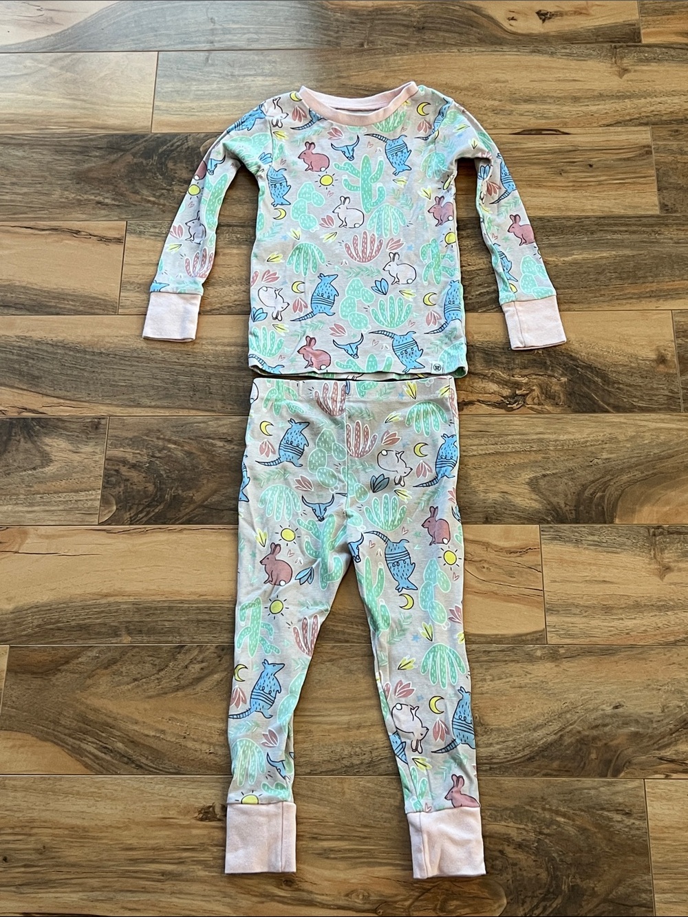 Western Desert Pajama Set Armadillo Bunny Cactus Organic Honest Baby Girls 3T
